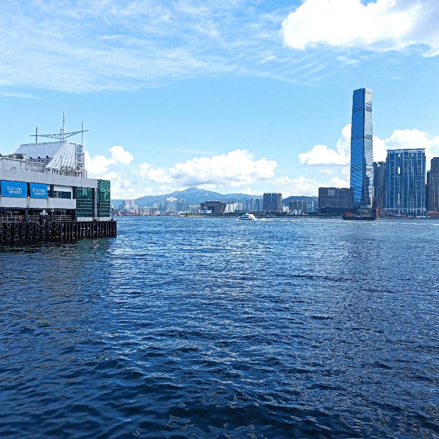 海边散步所见2022.6.23(图131)