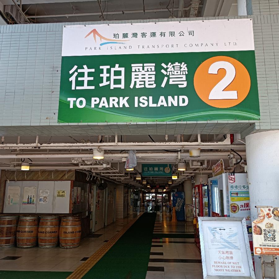 海边散步所见2022.6.23(图138)
