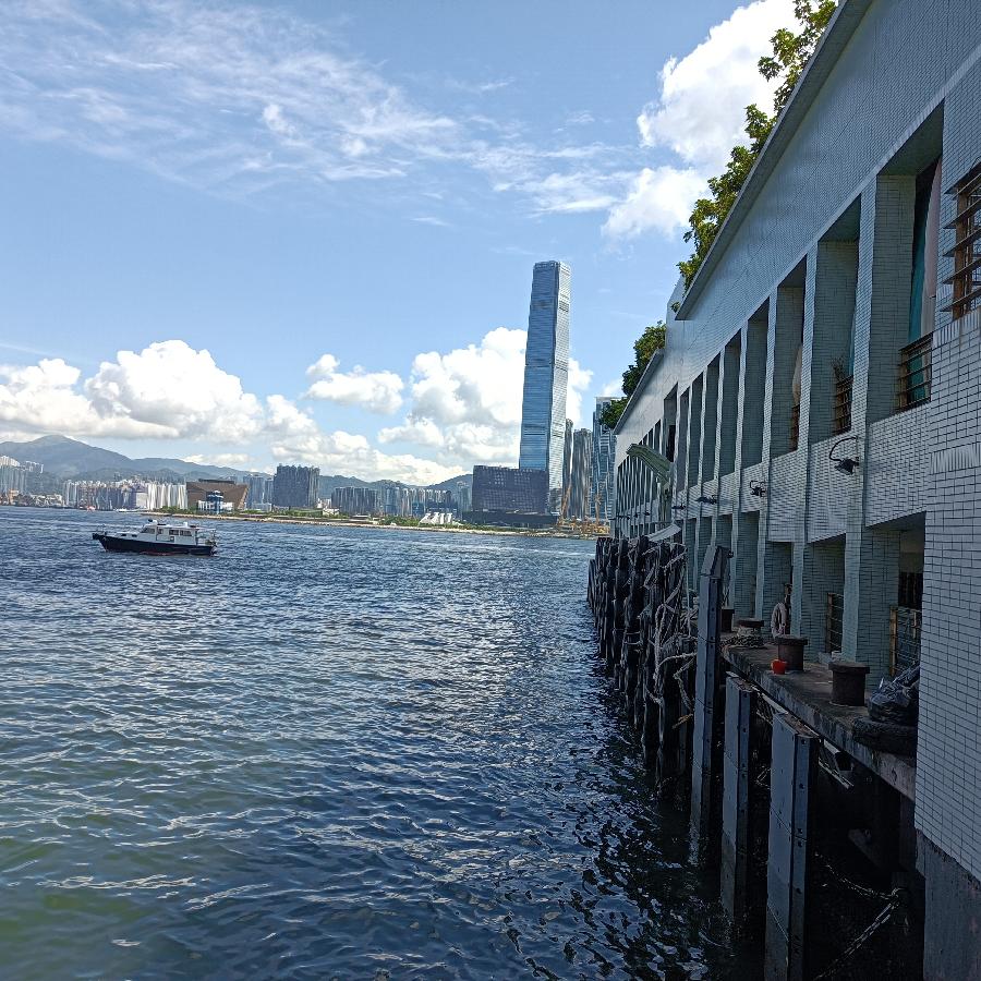 海边散步所见2022.6.23(图139)
