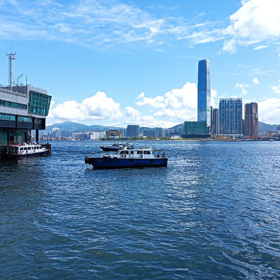 海边散步所见2022.6.23(图141)