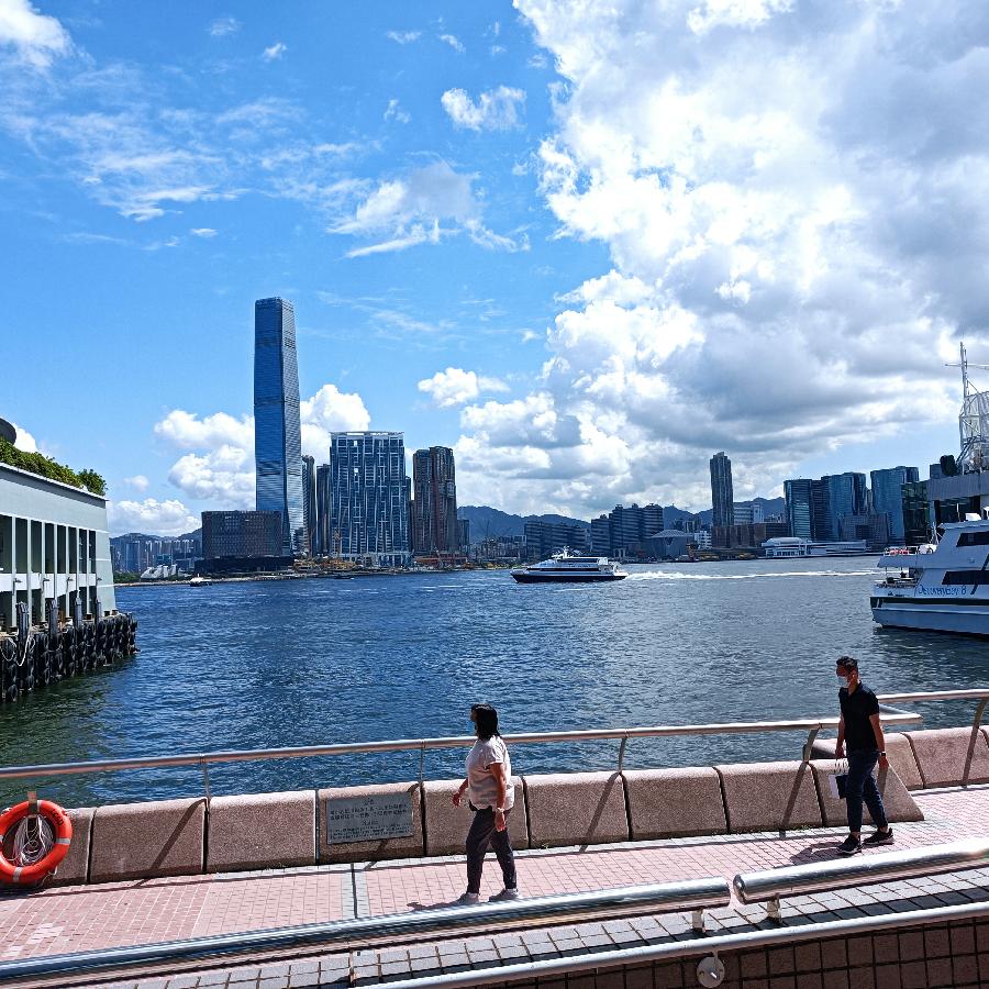 海边散步所见2022.6.23(图146)