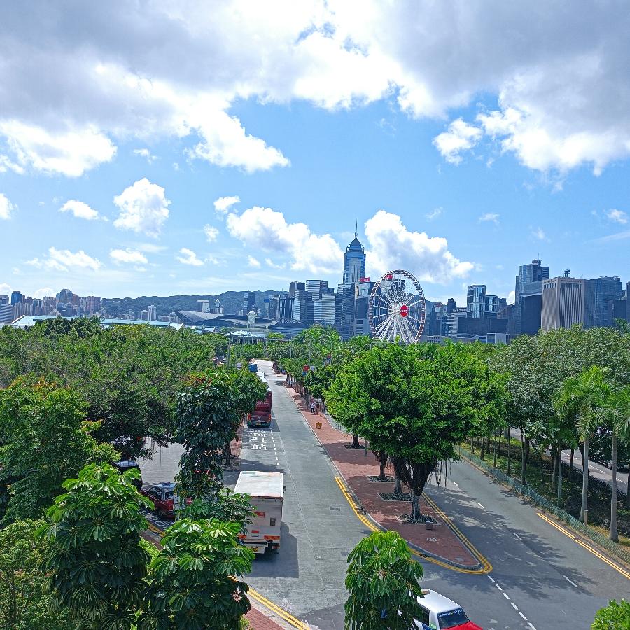 海边散步所见2022.6.23(图151)