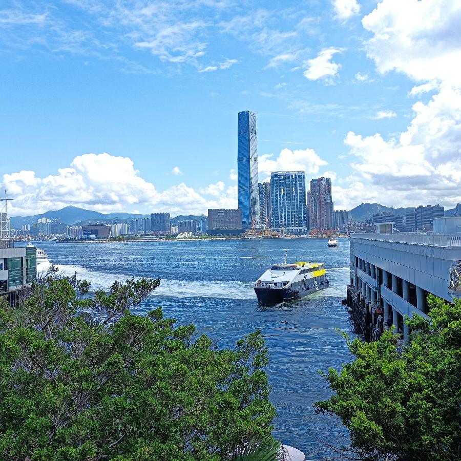 海边散步所见2022.6.23(图152)