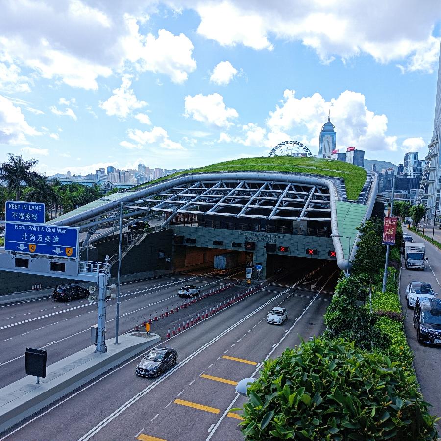海边散步所见2022.6.23(图155)