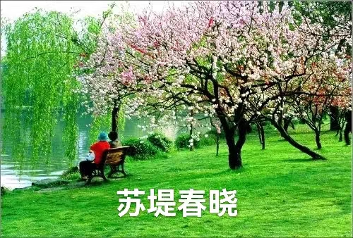 杭州西湖(叙事散文诗)作者 丁培恭|海外头条(图3)