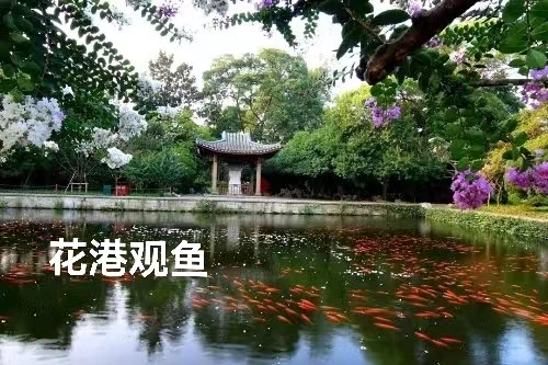 杭州西湖（叙事散文诗）作者 丁培恭｜海外头条（图8）