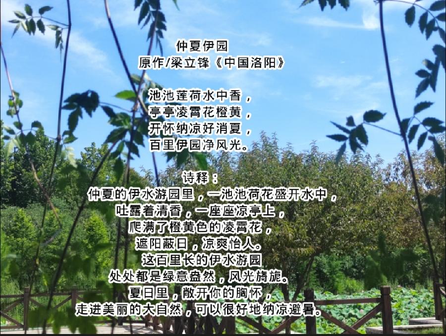 仲夏伊园 原作/梁立锋（图12）