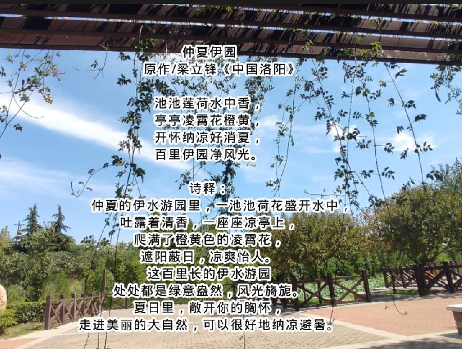 仲夏伊园 原作/梁立锋（图14）