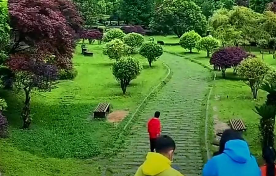 【华夏好诗词】分享诗雨轩诗词一组请欣赏(图10)