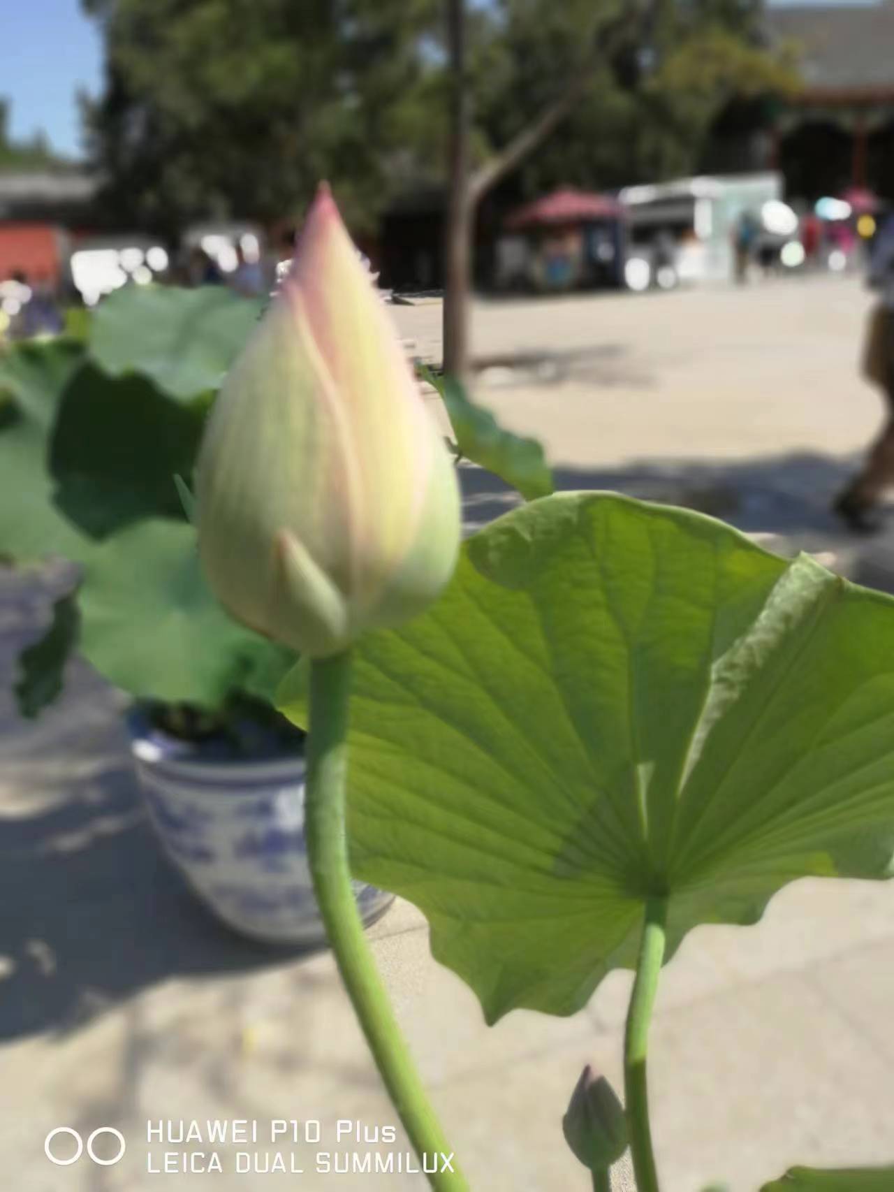 215401872.jpg 215401872.jpg
