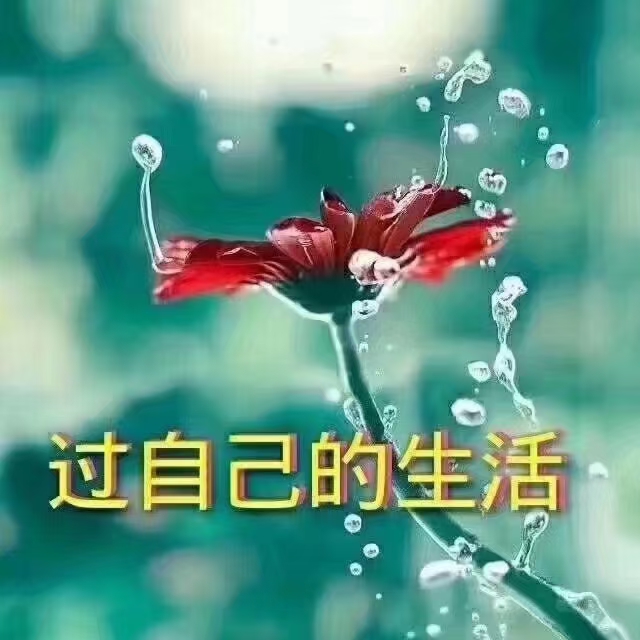 【潮声文苑】都刊020期||谁解石阶诗意重任凭点滴汇成篇(图15)