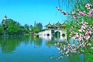大合诵《邂逅成诗》作者:东方亮 视频制作:随风朗诵:华人诗社朗诵团 参与人数:55人