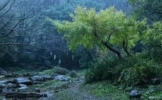 大合诵《邂逅成诗》作者:东方亮 视频制作:随风朗诵:华人诗社朗诵团 参与人数:55人(图3)