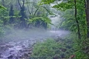 大合诵《邂逅成诗》作者:东方亮 视频制作:随风朗诵:华人诗社朗诵团 参与人数:55人(图4)