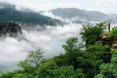 大合诵《邂逅成诗》作者:东方亮 视频制作:随风朗诵:华人诗社朗诵团 参与人数:55人(图8)