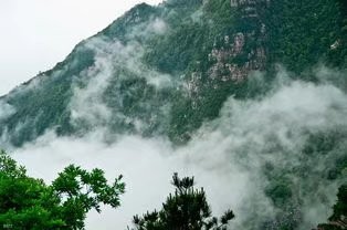 大合诵《邂逅成诗》作者:东方亮 视频制作:随风朗诵:华人诗社朗诵团 参与人数:55人(图7)