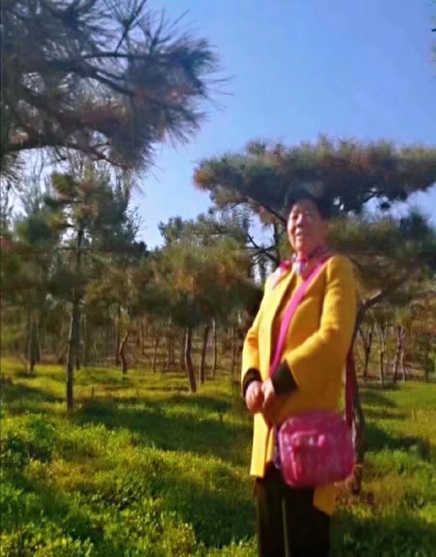 巴黎文学苏沪浙分社第一期微刊《热烈祝贺巴黎文学苏沪浙分社成立》（图78）