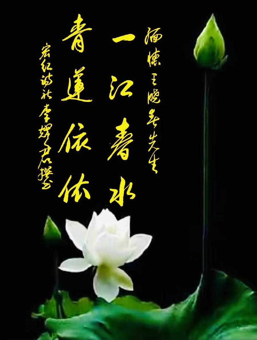 孙炎宏幽芳唯美《悦荷》｜中国江苏泗洪都市文学社87期（图3）