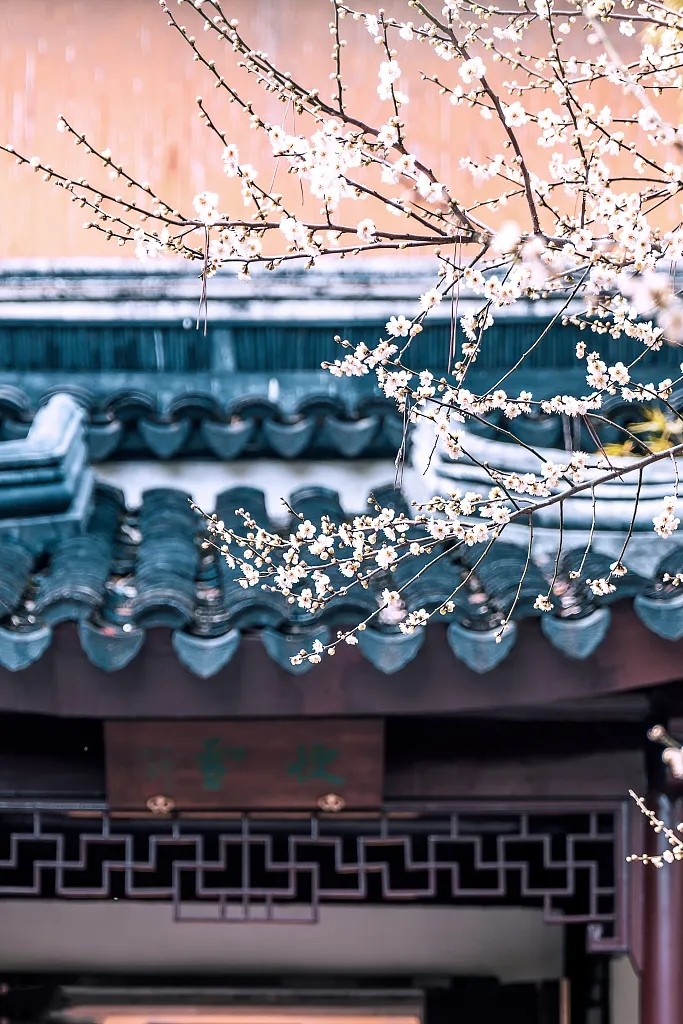 【当代文艺】长篇小说连载《春去冬来(十五)》作者:石会文(图5)