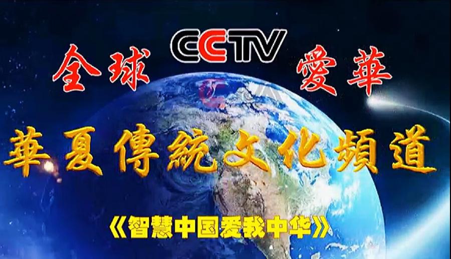 CCTV全球爱华诗歌春晚·世界诗歌联合总会倾情举办的【2.1世界口罩日】全球纪念周诗歌朗诵会圆满成功（图38）