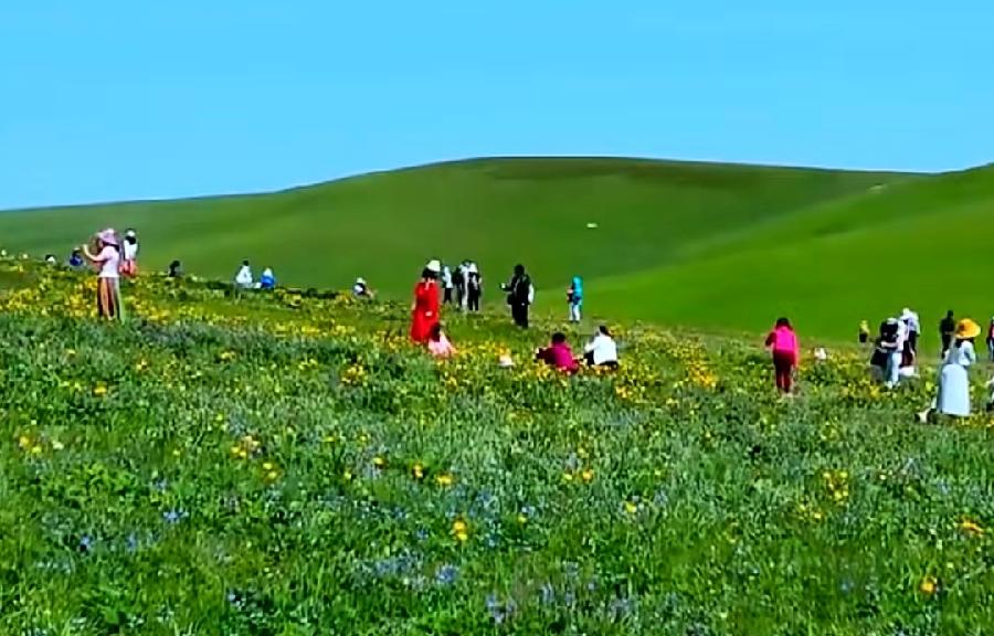 【华夏好诗词】分享徐复峰《水调歌头•夏》请欣赏（图4）