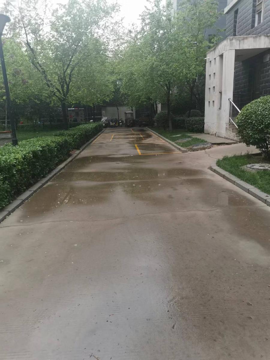 七绝·夏日喜雨（新韵）｜ 文/宁文彪（图3）