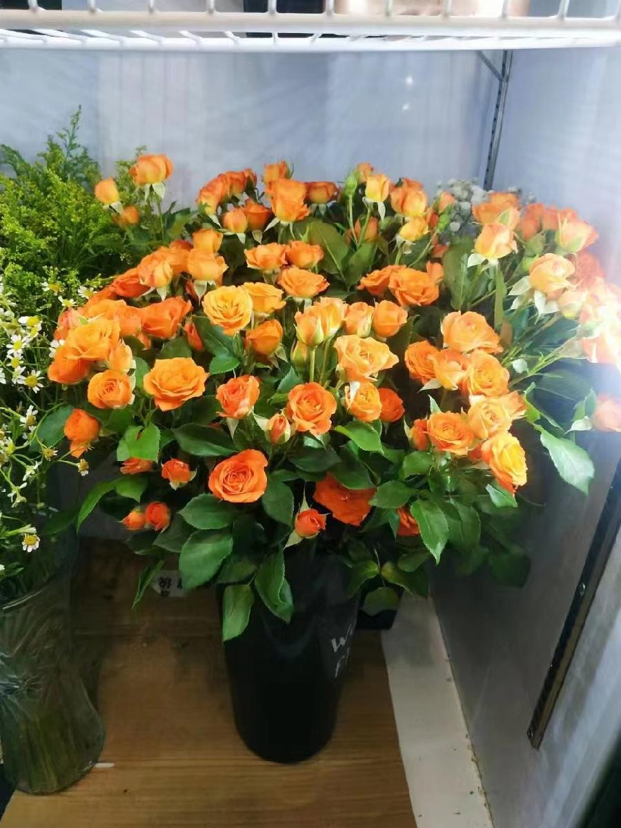 花店（图4）