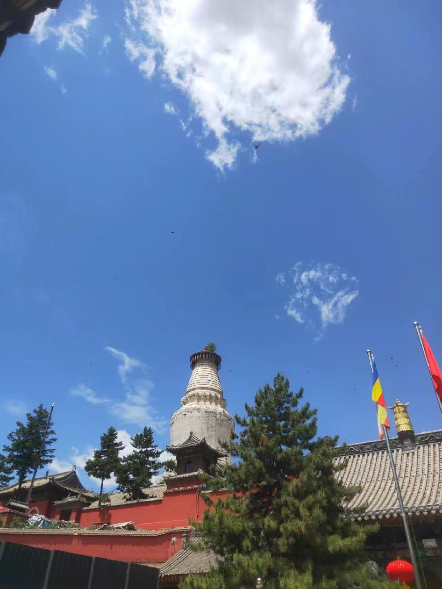《五台山的山》作者/俏夕阳 主播/一土黄沙 审核/庆福 编辑/胡琴（图4）