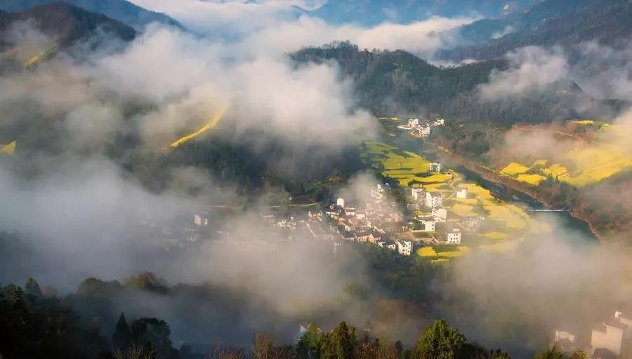 《珍惜》作者：燚燚 主播：绿萝 编辑：宋梅【中国长江文学社】有声文学平台第3918期（图4）