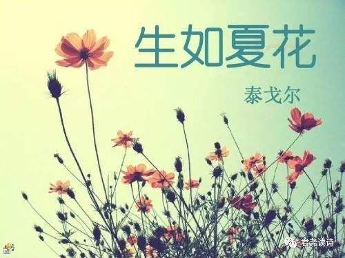生如夏花（印度）泰戈尔