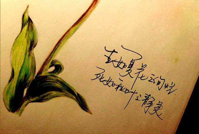 生如夏花（印度）泰戈尔（图2）