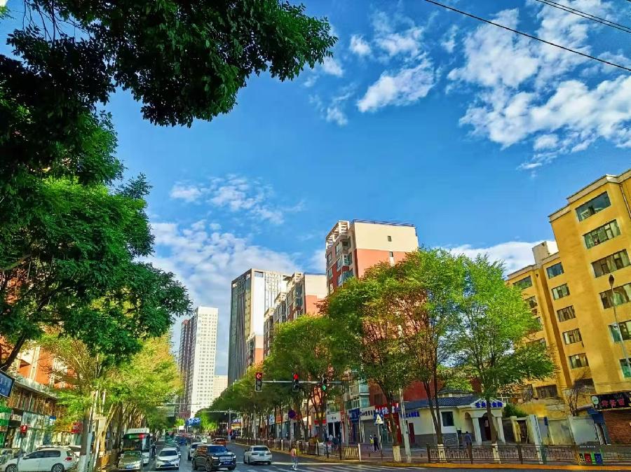 【庆七一 表党恩】丹心向党：文／颜宝祥（靑海西宁）（图16）