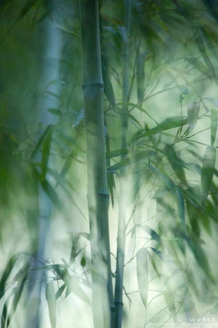 陈金茂（纽约）看图写诗（57）给老天爷一点颜色（三首）【冰心文化传媒】（图4）