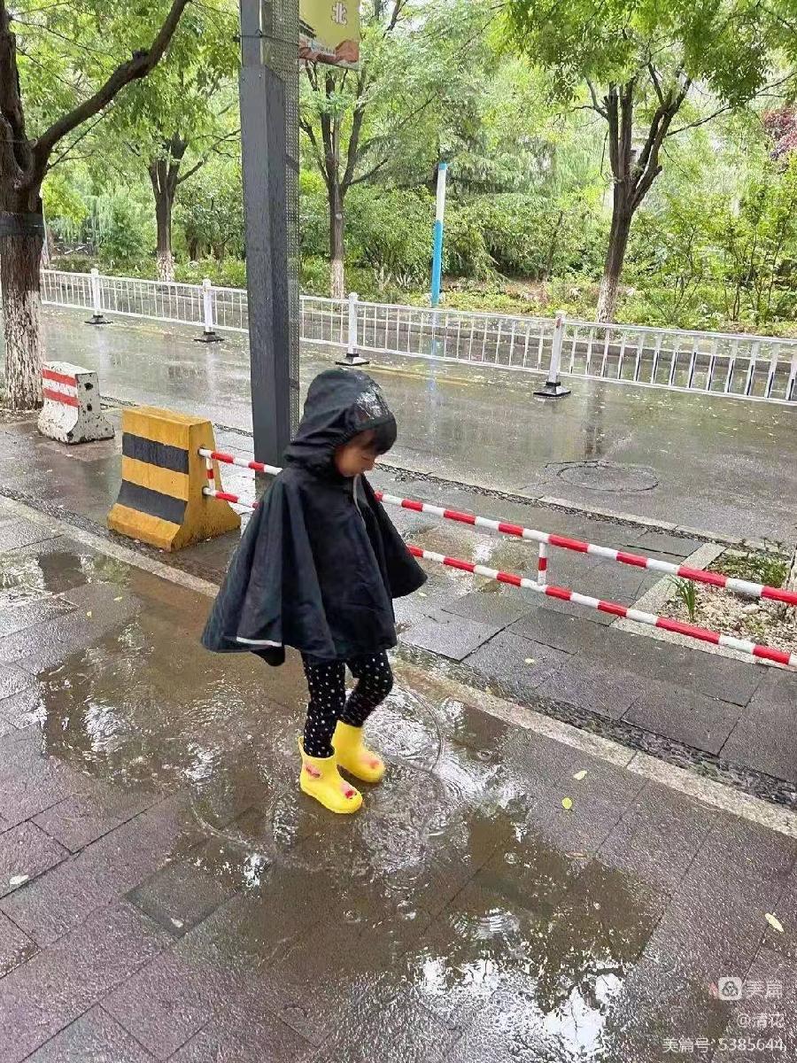 请记得这位会说诗的孩子 ——孙洛迦，为了一只小鸡的离世她说了一首诗【冰心文化传媒】（图3）