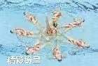 赞中囯花泳队（叙事散文诗）作者 丁培恭｜海外头条（图4）