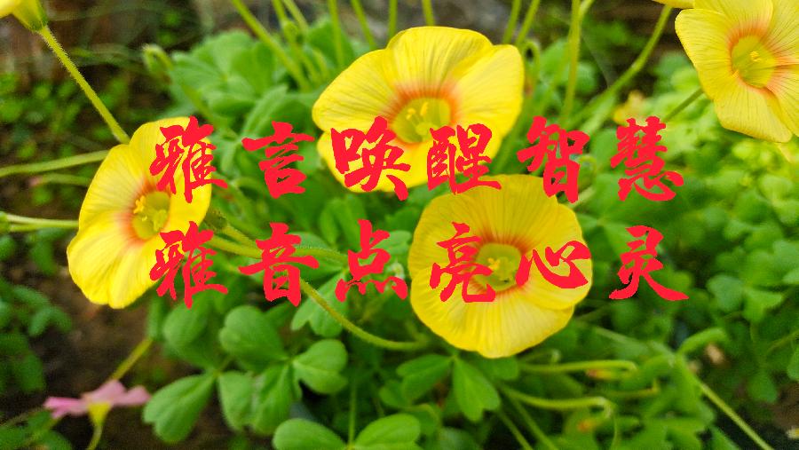 【七一特刊】文/陈佩璋张天铎汪泽溪流苏开省诵读/快活林老革命雨杉贝文傲雪红梅【苏河清】【第933期】(图18)