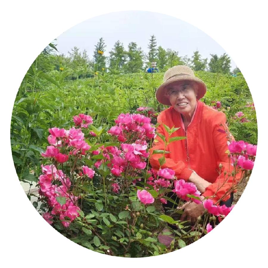 汤桂仙:分享生活中的美(图36)