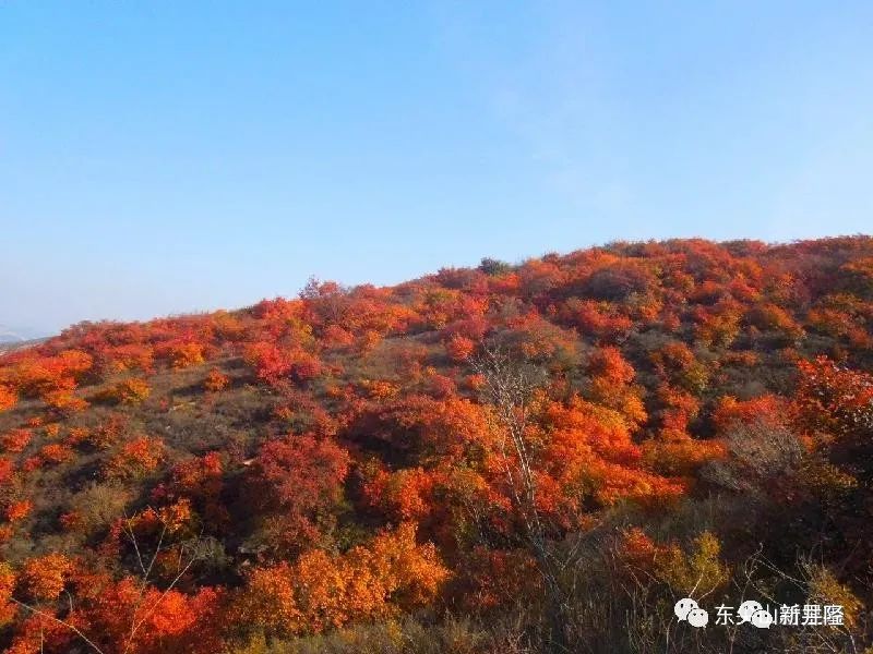 抗战期间，井陉东尖山竟先后住过九位开国将军！ ｜ 古驿陉风（图3）