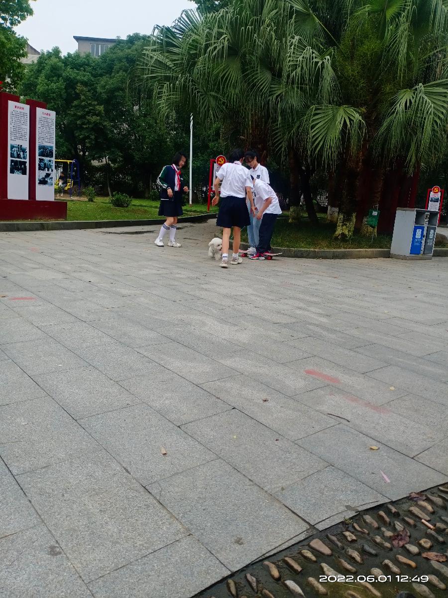 冯彪赵广业王过关王建华梁文君马汉任茹意李志国等人诗词书画欣赏(凤鸣园14期)(图69)