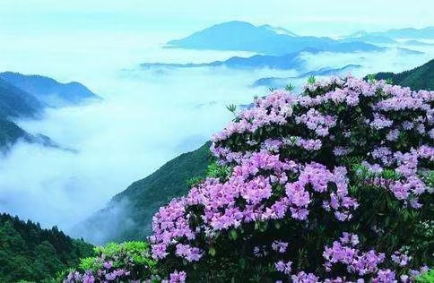 《0537期-江南诗絮》(图5)