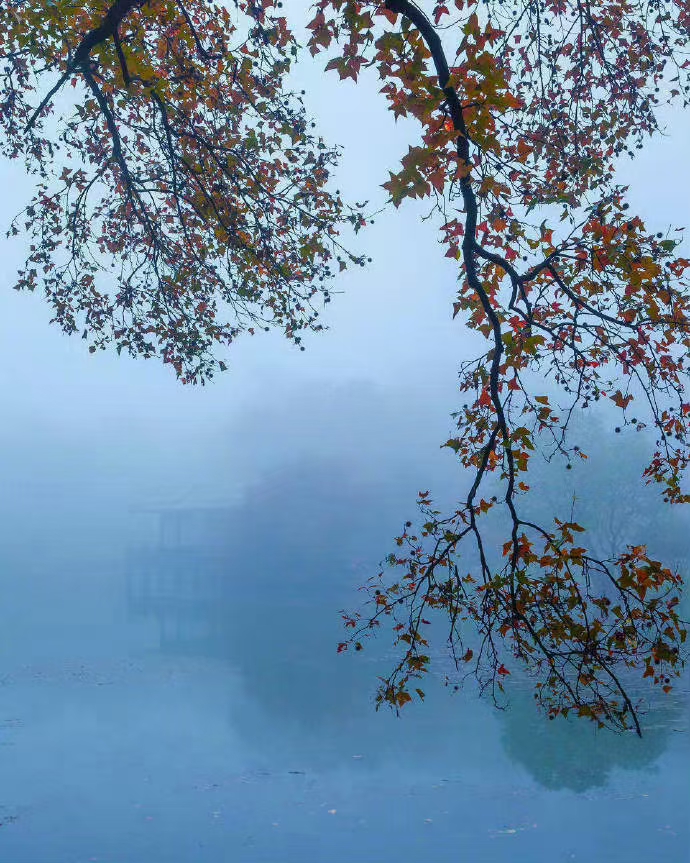 《0537期-江南诗絮》(图19)
