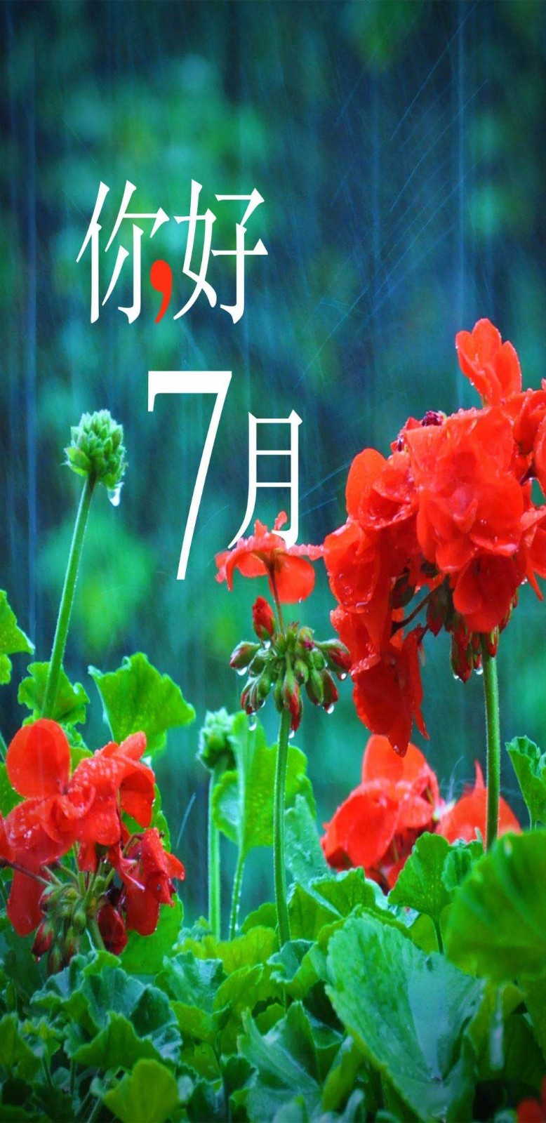 【枫雅汇看图约诗】诗人陈江《154期》（七月）（图6）