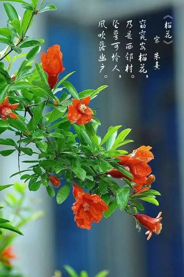 张学超《七一的丰碑》｜金牌主播冰雪彩霞｜韵芘胡桂芹“七一”感怀丨中国江苏泗洪都市文学社88期（图2）