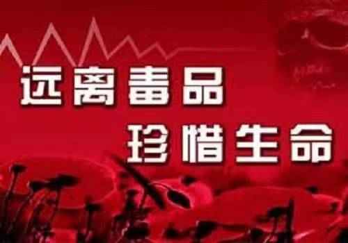 罂粟花心语:作者 代晓春|诵读 晚晴|海外头条(图3)