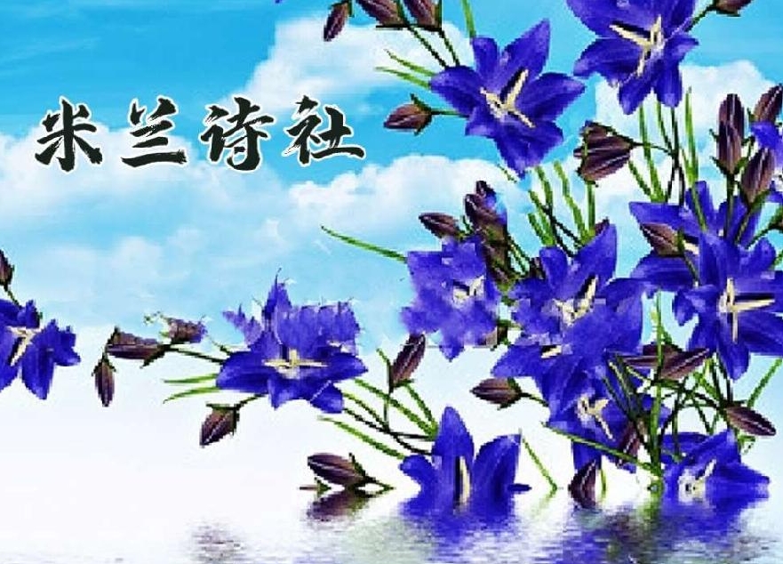 【紫罗兰文学社−米兰诗社】第017期都刊 || 蚌里珠明咸作泪 枕边梦醒苦无声(图2)