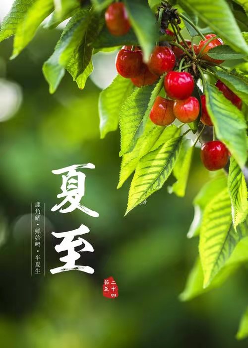 国风社延安分社半月刊第15期(图9)