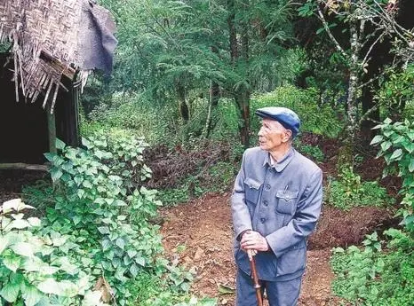人民公仆杨善洲 文/关燕（风中百合）（图5）