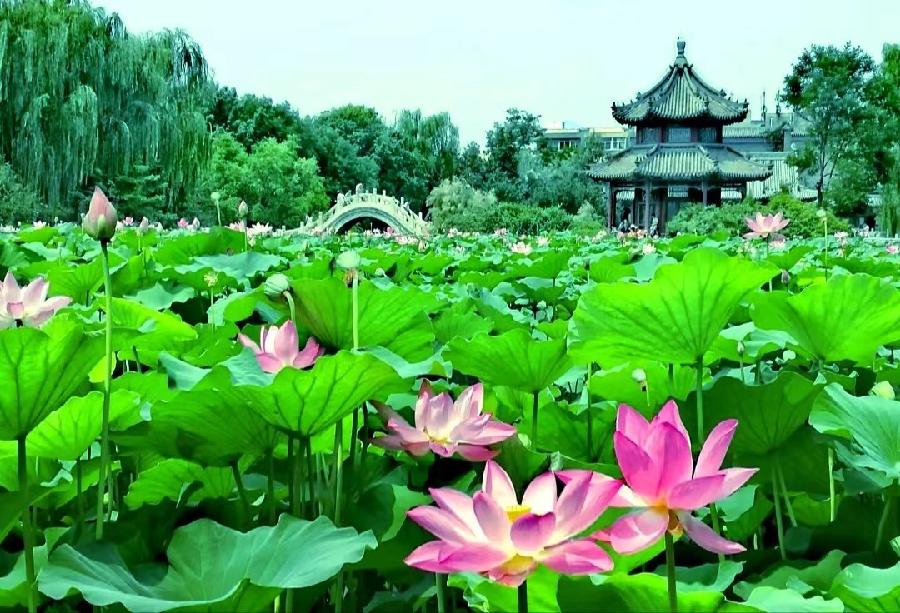 [北京头条]江苏盱眙县诗人刘文亚老师的精选专辑/第八十九期（图14）
