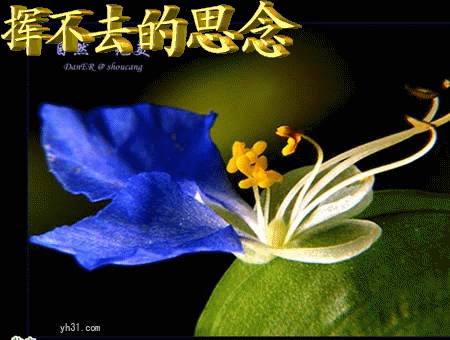 小说《迟来的亲情》作者/城外。主播/爱琴海【辽西大地文学社】1108期(图3)