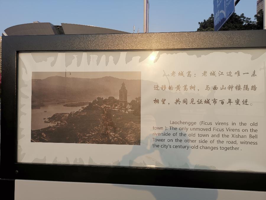 诗意传情诗社【万州 钟楼】文‖兰光武 诵‖边军(878)(图4)